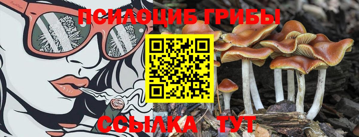 Марихуана Севастополь