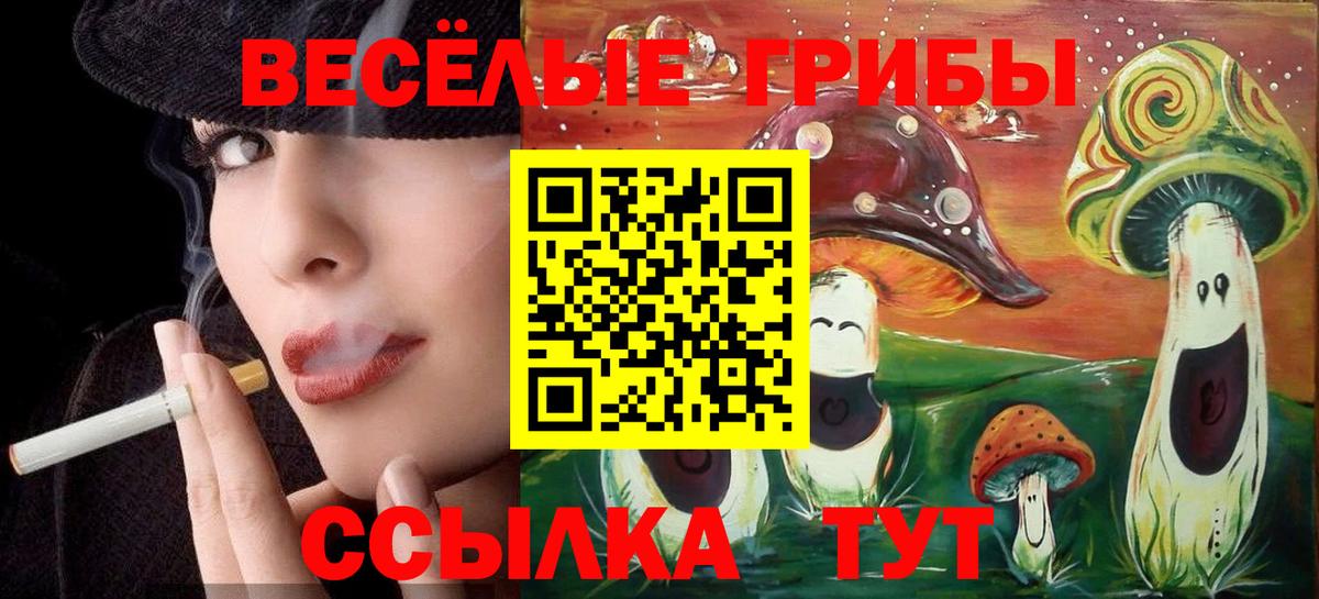 Псилоцибиновые грибы мицелий  Вход с VPN  Севастополь 