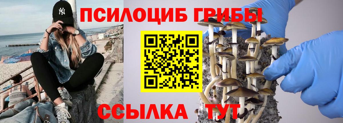 Галлюциногенные грибы Cubensis Севастополь